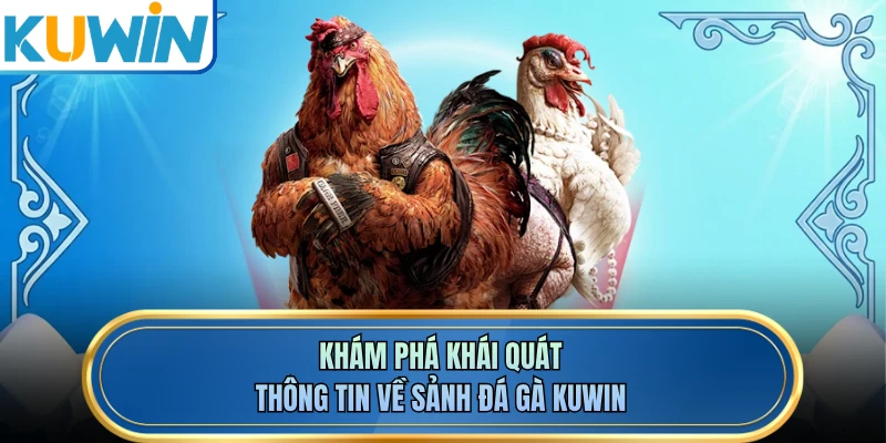 Khám phá khái quát thông tin về sảnh đá gà KUWIN
